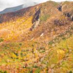 栗駒山の紅葉を見下ろすための秣岳縦走路　～2017年・2018年～