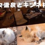 蔵王　御釜　～番外編・峩々温泉とキツネ村～