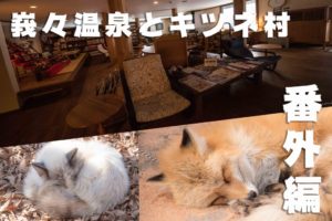 蔵王　御釜　～番外編・峩々温泉とキツネ村～