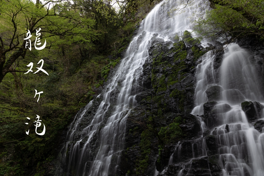 福井滝巡り　龍双ヶ滝と一条滝　一乗谷観光を添えて　GW２日目