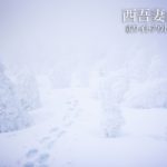 西吾妻山 ~米沢・北塩原~ グランデコ~西大巓~西吾妻山山頂