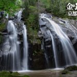 金引の滝 ~京都府・宮津~
