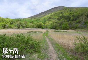 泉ヶ岳 ~宮城県・仙台市~ かもしか・滑降・表・水神コース