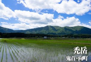 泣き虫小僧1️⃣W999 23年製造 6分山245/70R19.5 XT250 セロー 21 1/3 霊仙山の林道たち 幾利林道・藪谷林道