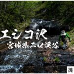 暴風極寒のエシコ沢・左俣40m大滝 ~宮城・二口渓谷~