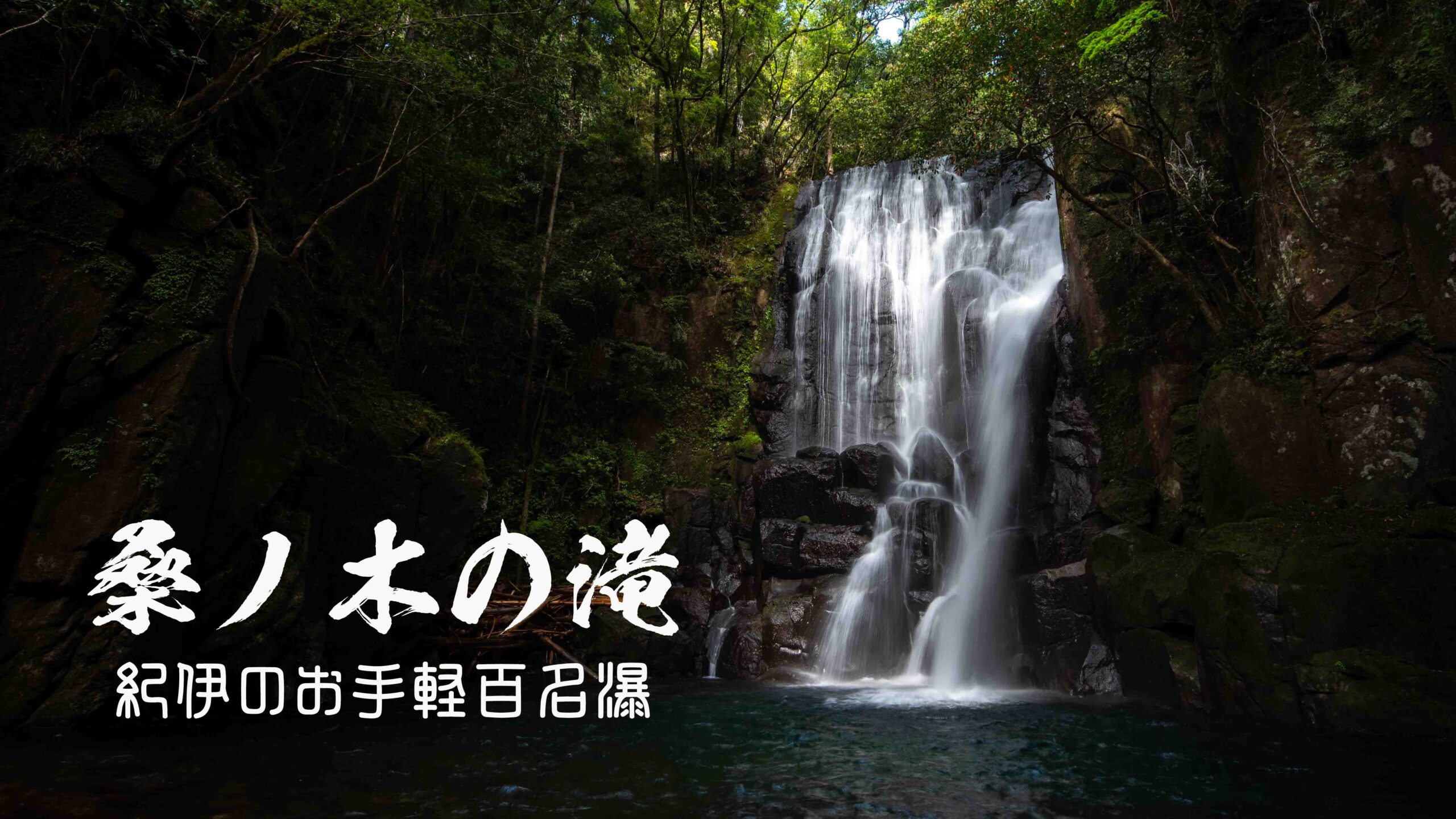 桑ノ木の滝・百名瀑再訪　～和歌山県・新宮市～　　