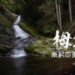 南紀の美渓・栂谷とガンガラ滝 ~和歌山県・新宮市~